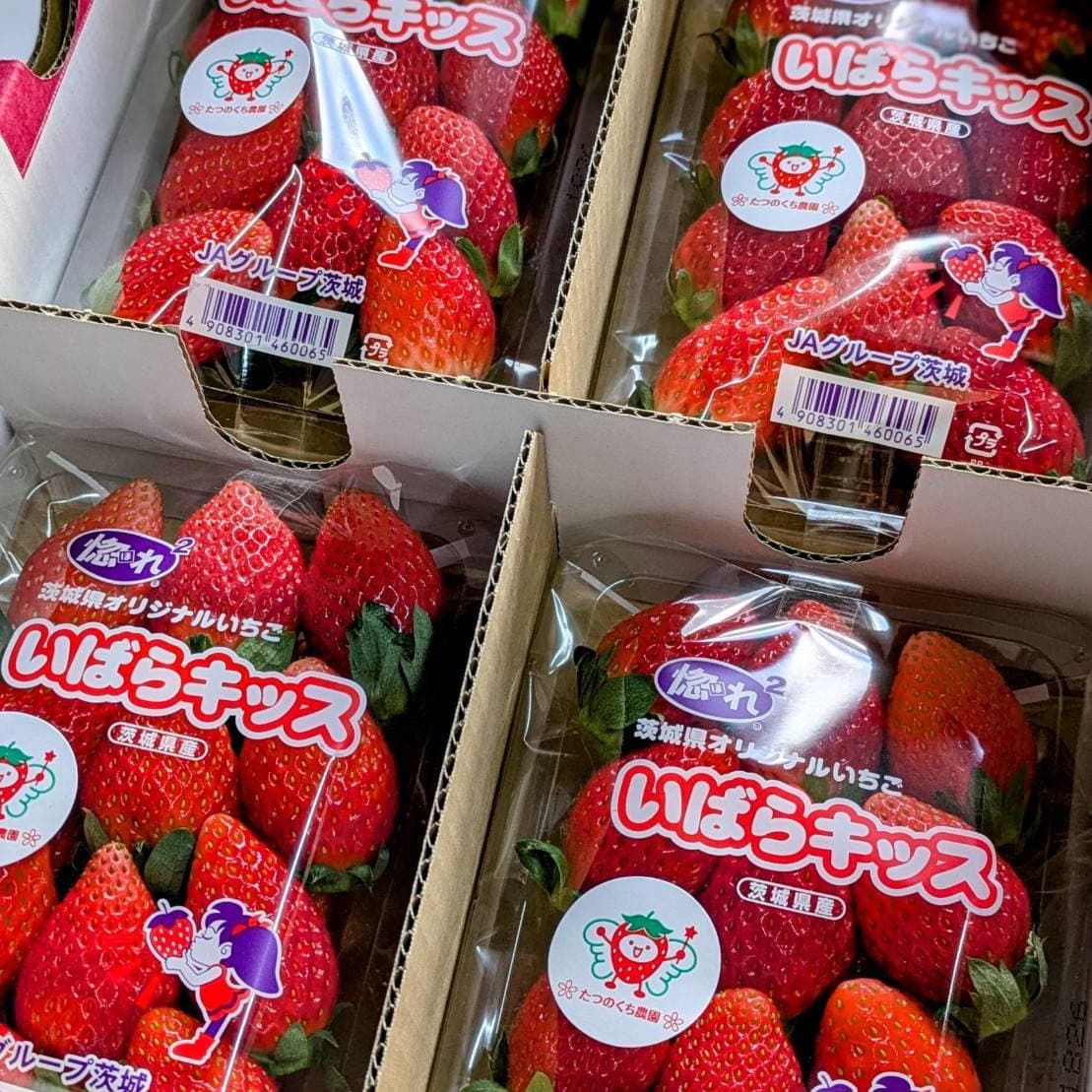 たつのくち農園